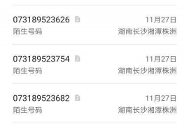 修武修武的要账公司在催收过程中的策略和技巧有哪些？